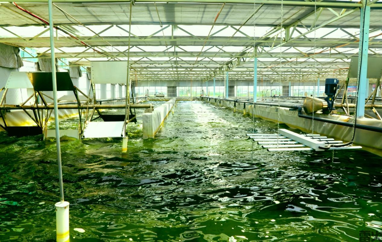 雷火电竞-绿色矿山的金沙实践：鑫达煤矿生态修复与乡村振兴的双赢之路
