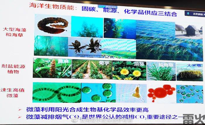 雷火电竞-中科院憋了20年的王炸大连建厂二氧化碳变气油成本才2毛钱