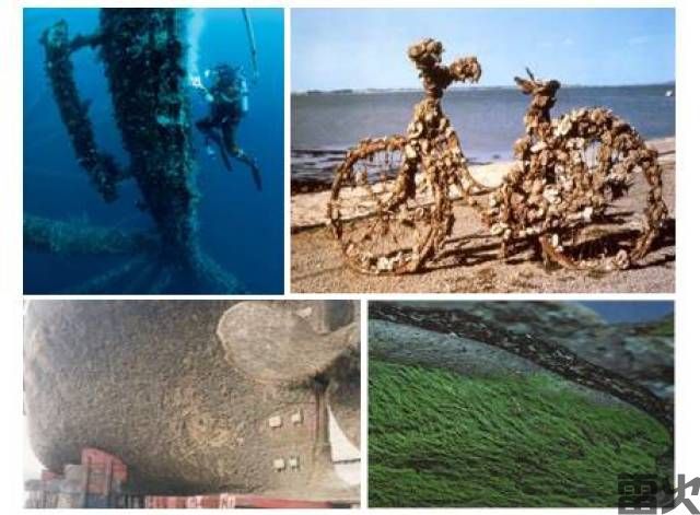 雷火电竞-大庆油田竞逐“数字浪潮”