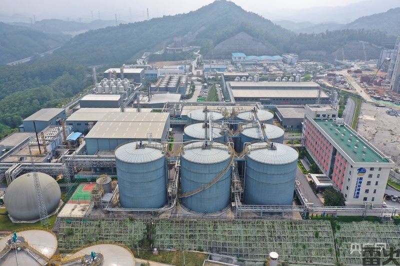 2025年Q2能源化工业行业薪酬报告-薪智