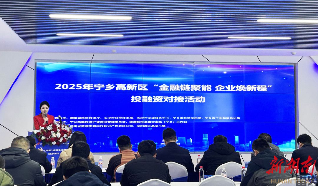 宁乡高新区举行“金融链聚能企业焕新程”投融资对接活动(图1)